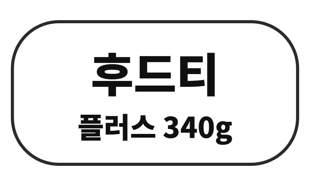 후드티 스탠다드 플러스 340g 단체티 주문제작 - 베어버스