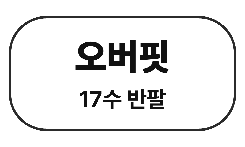 오버핏 라운드 티셔츠 17수 반팔 단체티 주문제작 - 베어버스